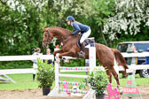 260520-Springpferde-L-_108.jpg