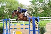 260520-Springpferde-L-_111.jpg