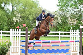 260520-Springpferde-L-_112.jpg
