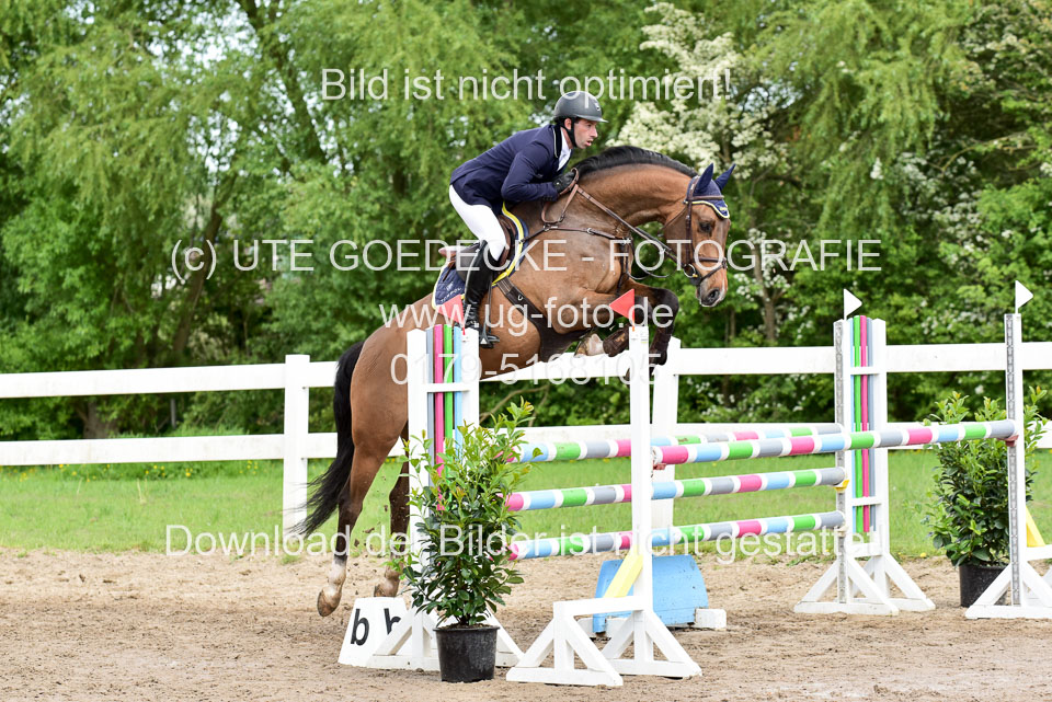 260520-Springpferde-M-_03.jpg