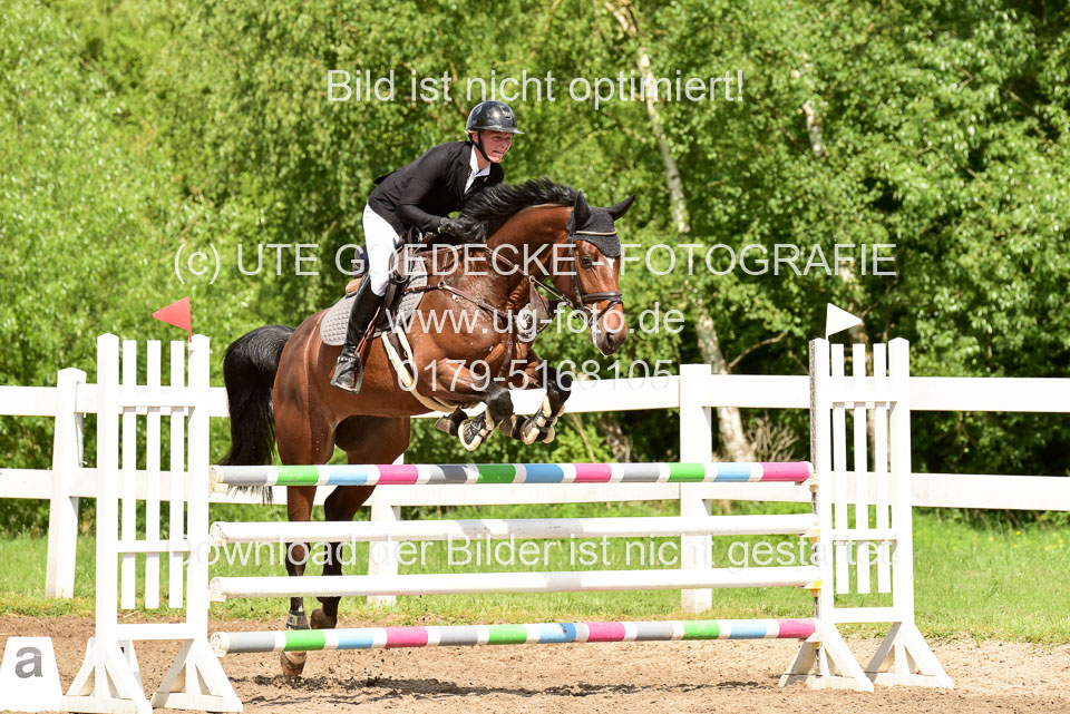 260520-Springpferde-M-_05.jpg