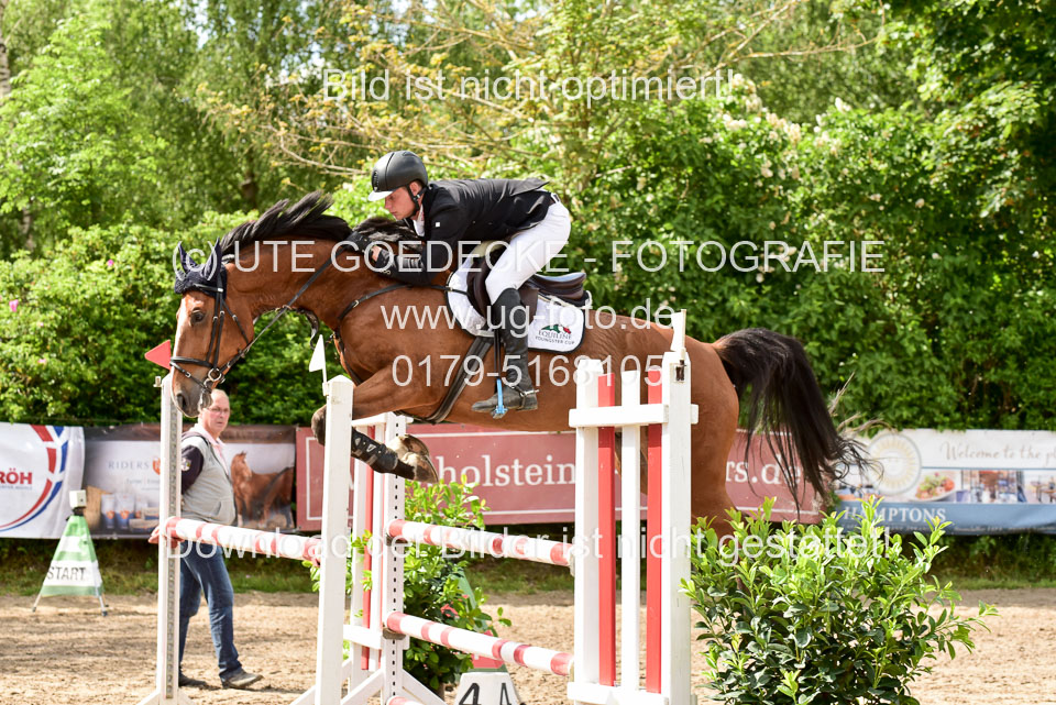 260520-Springpferde-M-_06.jpg