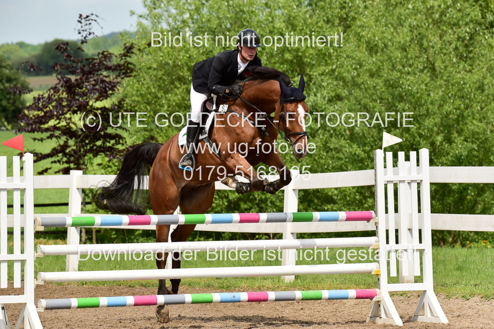 260520-Springpferde-M-_07.jpg