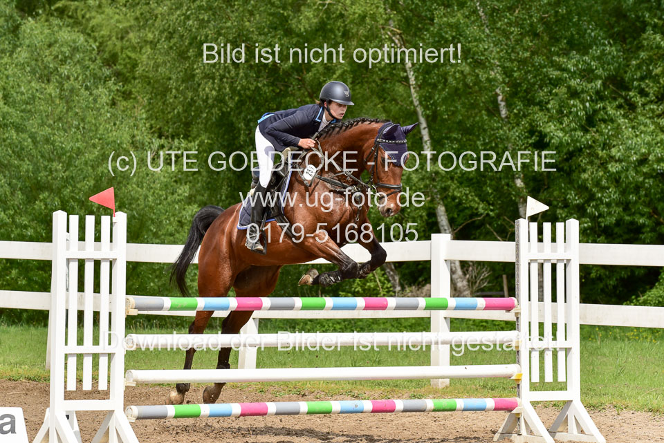 260520-Springpferde-M-_09.jpg