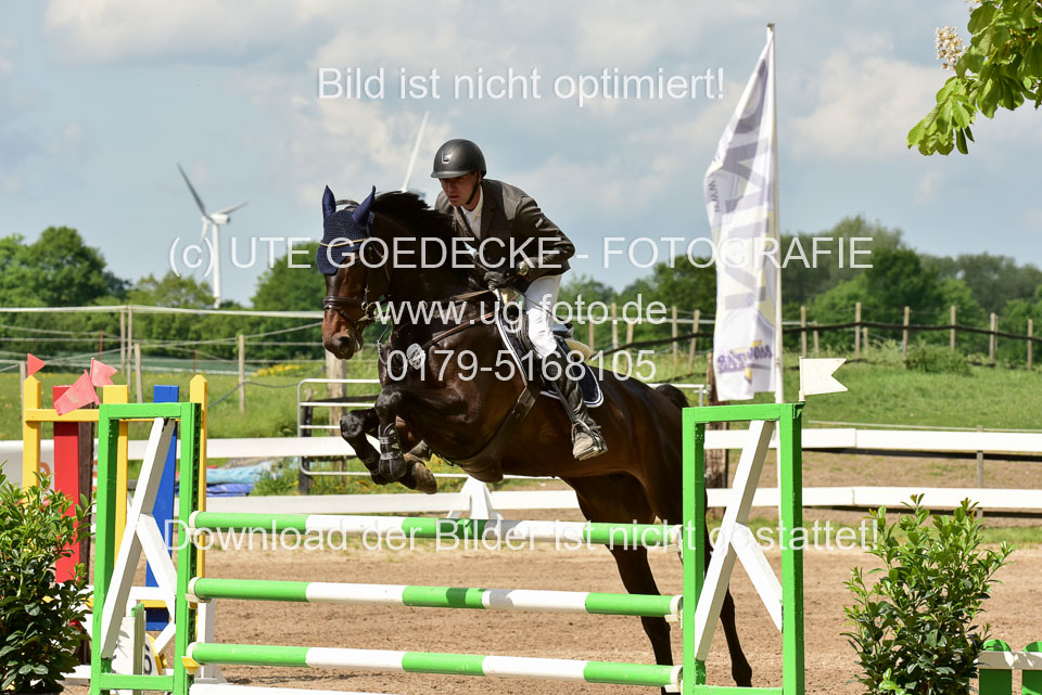 260520-Springpferde-M-_12.jpg