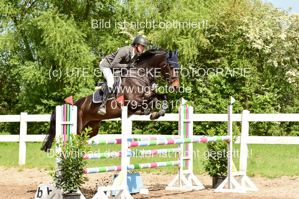 260520-Springpferde-M-_13.jpg