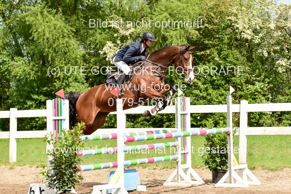 260520-Springpferde-M-_15.jpg