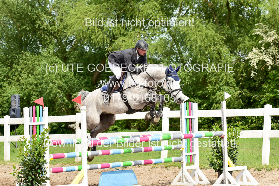 260520-Springpferde-M-_18.jpg