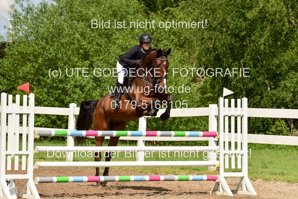 260520-Springpferde-M-_19.jpg