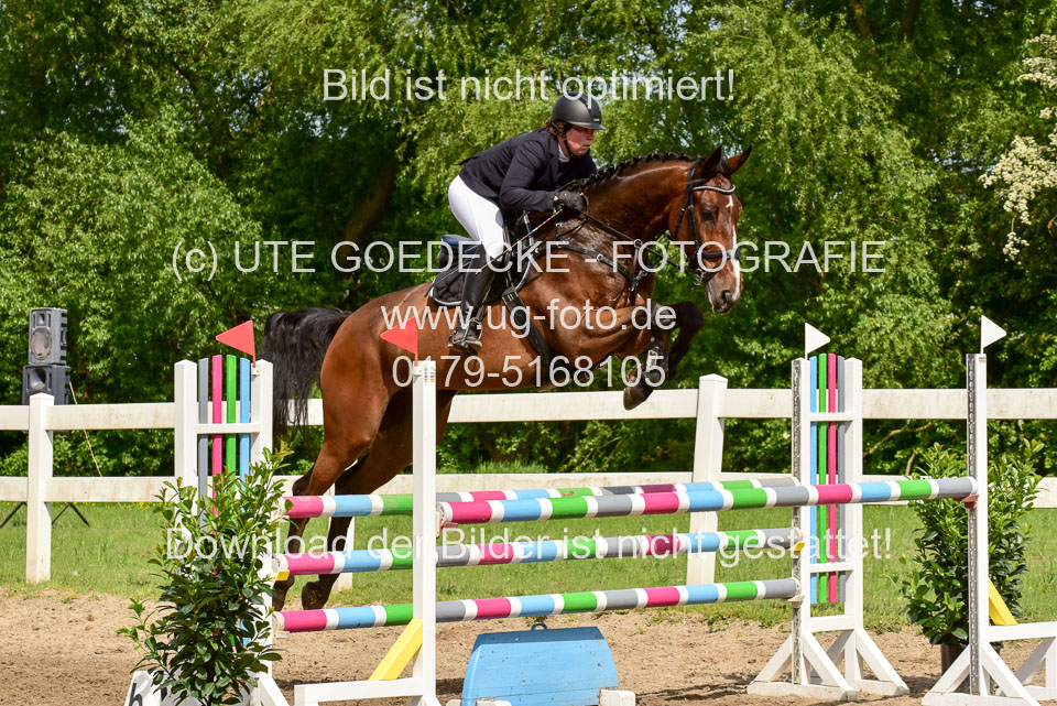 260520-Springpferde-M-_20.jpg