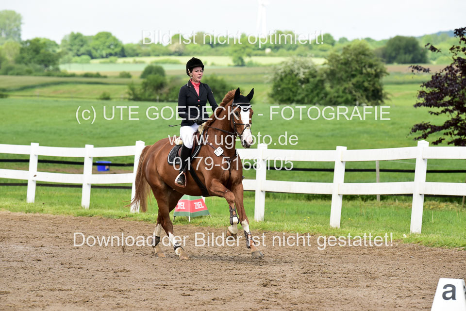 260520-Springpferde-M-_21.jpg