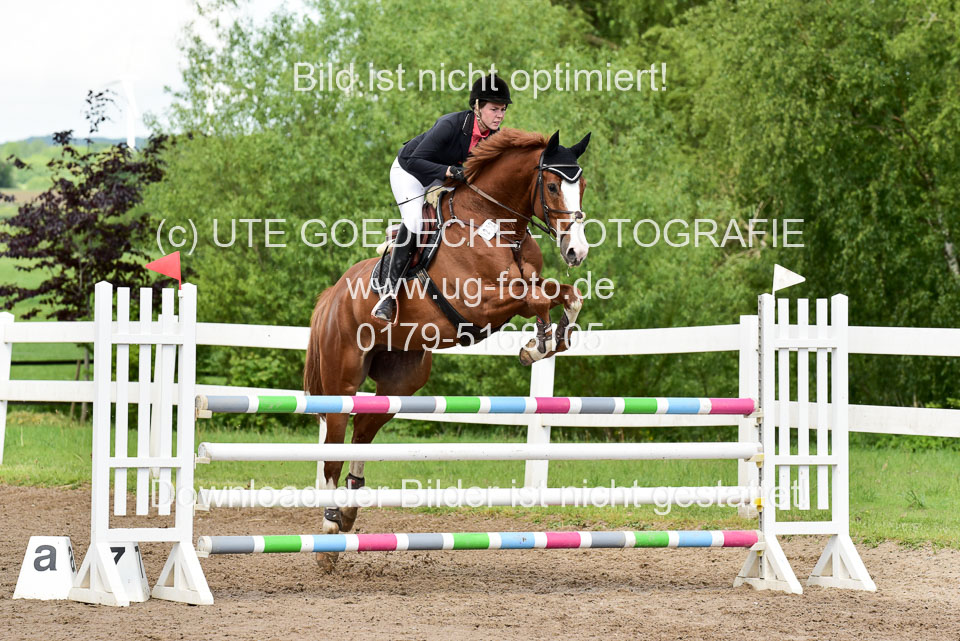 260520-Springpferde-M-_22.jpg
