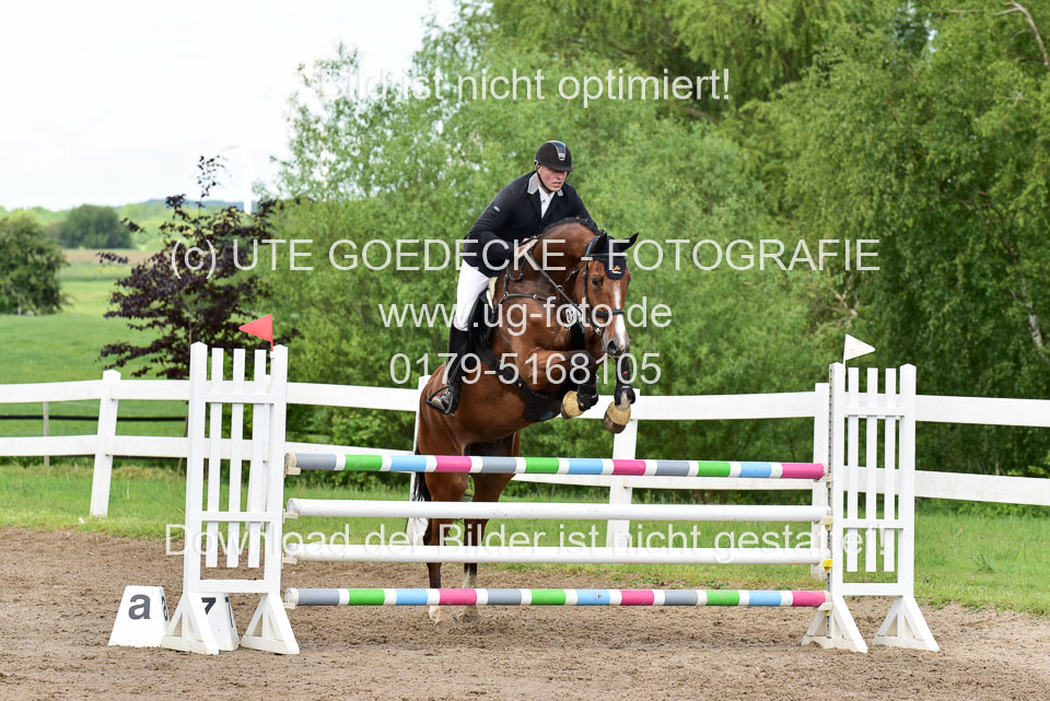 260520-Springpferde-M-_24.jpg