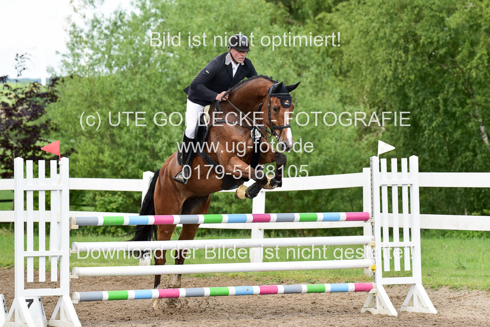 260520-Springpferde-M-_25.jpg