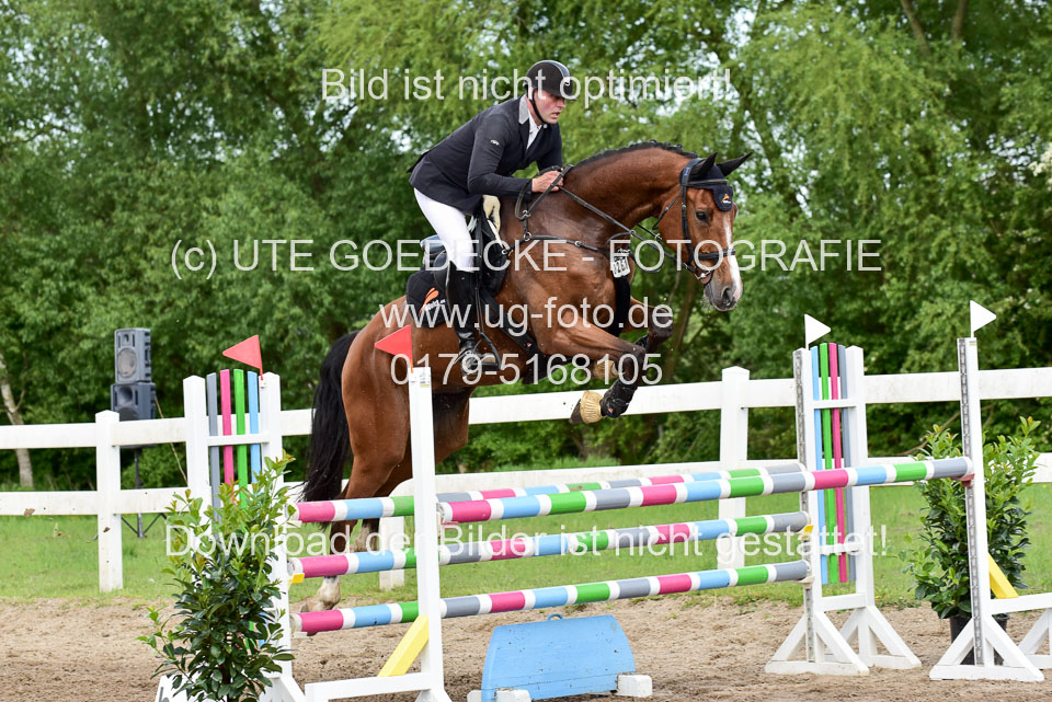 260520-Springpferde-M-_26.jpg