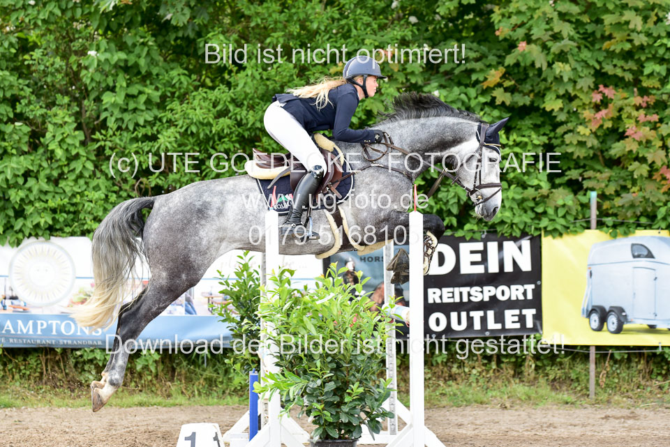 260520-Springpferde-M-_30.jpg
