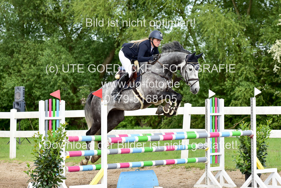 260520-Springpferde-M-_32.jpg