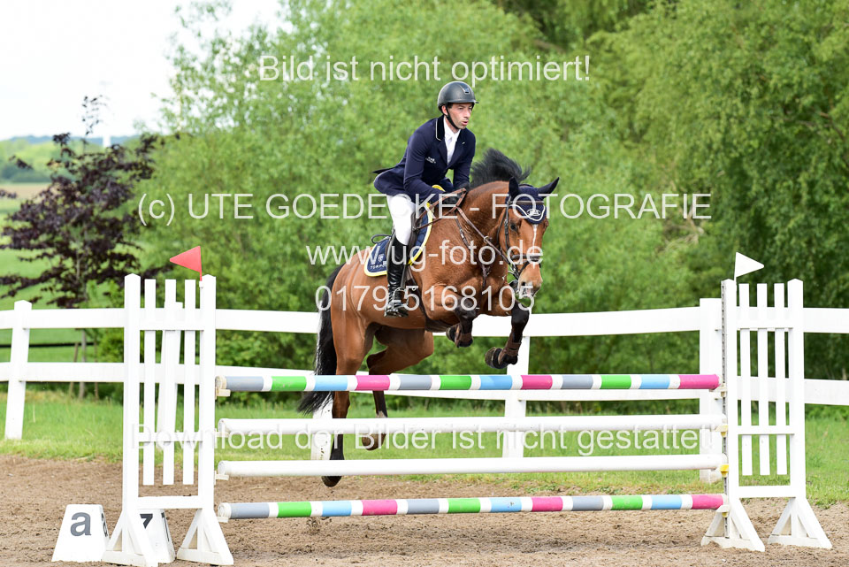 260520-Springpferde-M-_33.jpg