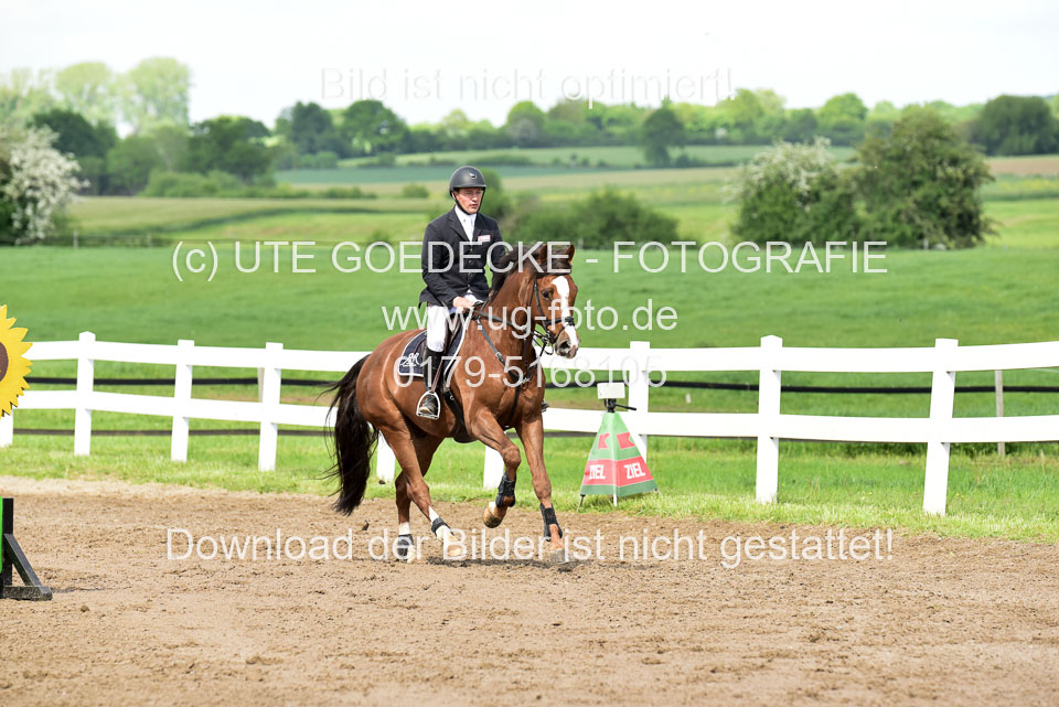 260520-Springpferde-M-_35.jpg