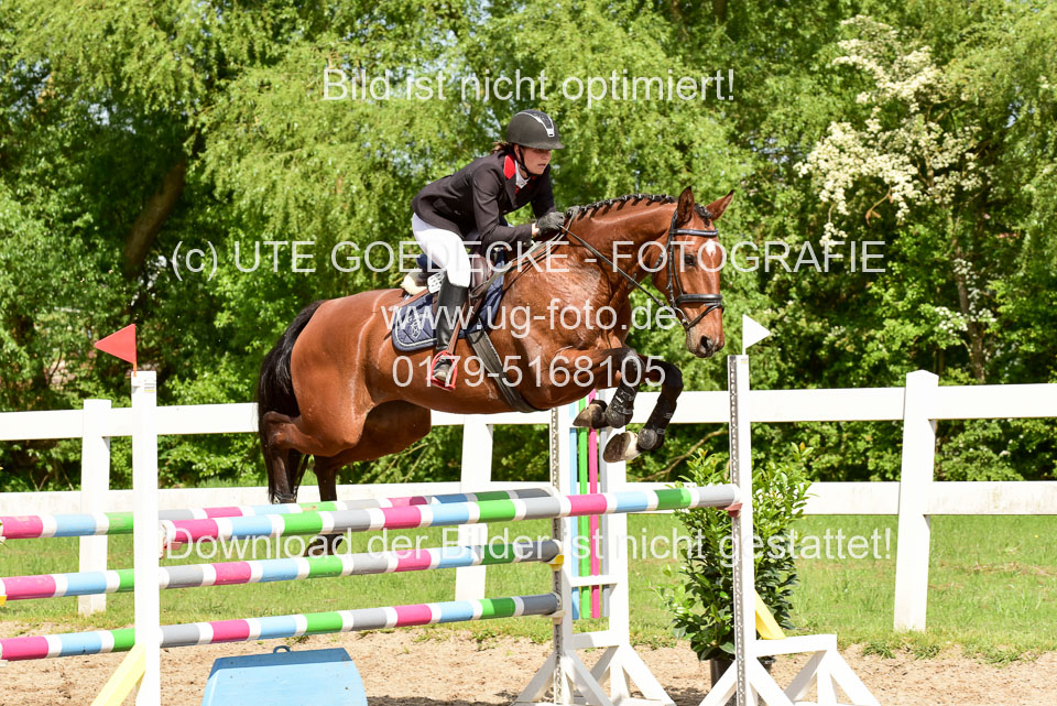 260520-Springpferde-M-_39.jpg