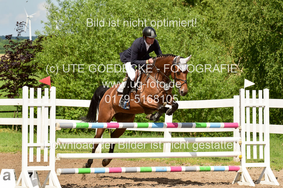 260520-Springpferde-M-_42.jpg