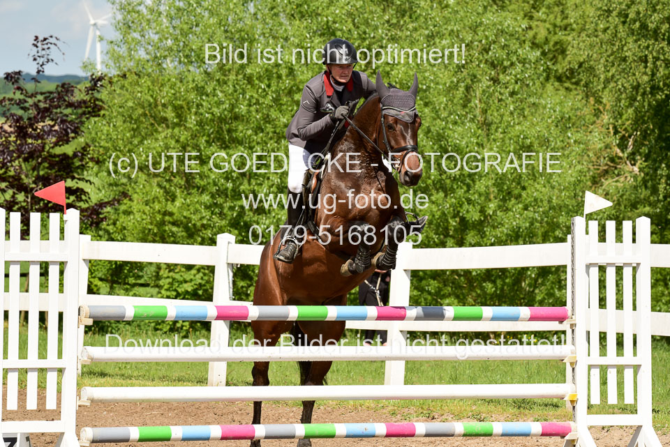 260520-Springpferde-M-_44.jpg