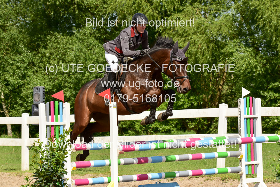 260520-Springpferde-M-_45.jpg