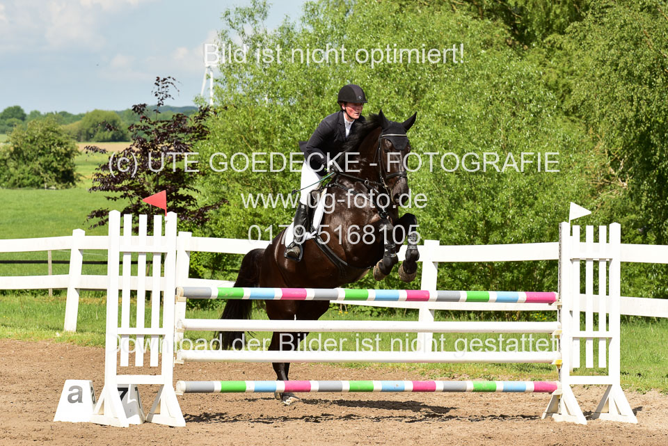 260520-Springpferde-M-_46.jpg