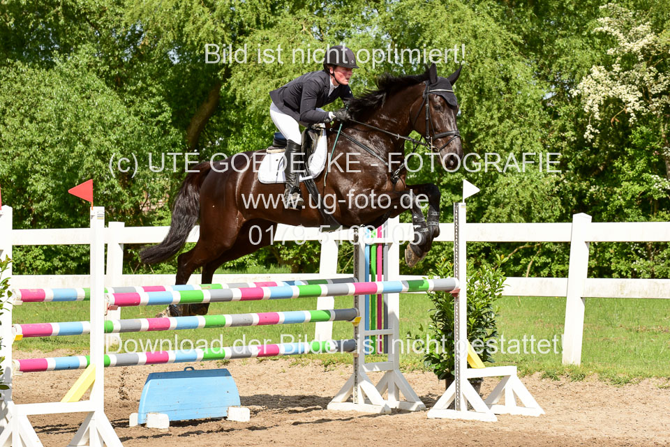 260520-Springpferde-M-_48.jpg