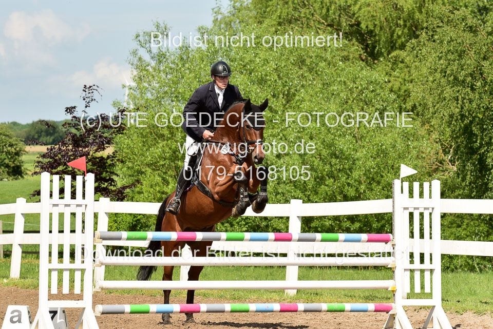 260520-Springpferde-M-_49.jpg