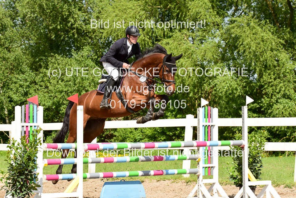 260520-Springpferde-M-_50.jpg