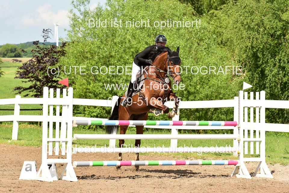260520-Springpferde-M-_51.jpg