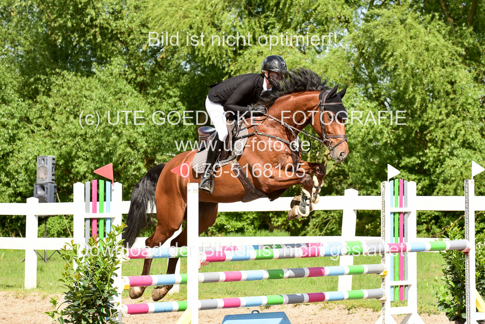 260520-Springpferde-M-_52.jpg