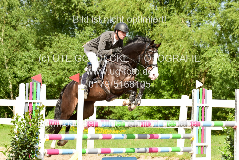 260520-Springpferde-M-_56.jpg