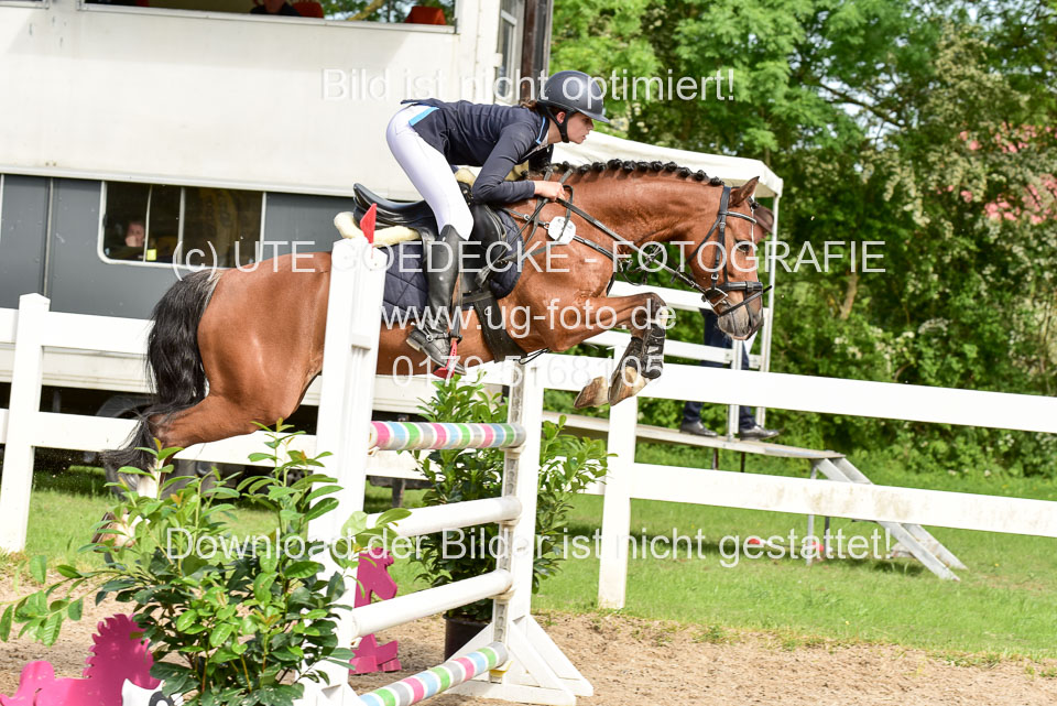 260520-Springpferde-M-_63.jpg