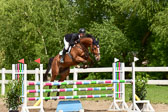260520-Springpferde-M-_08.jpg