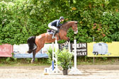 260520-Springpferde-M-_14.jpg
