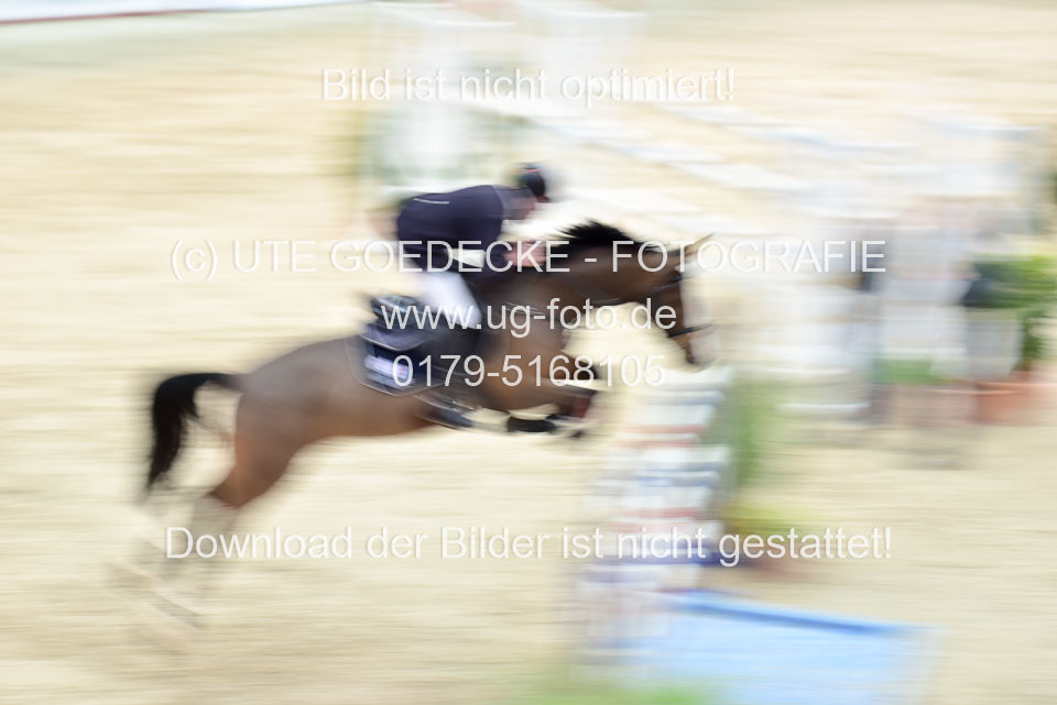 8-jährige-_207.jpg