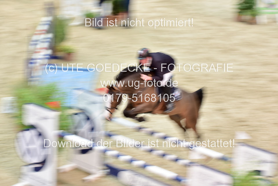 8-jährige-_209.jpg
