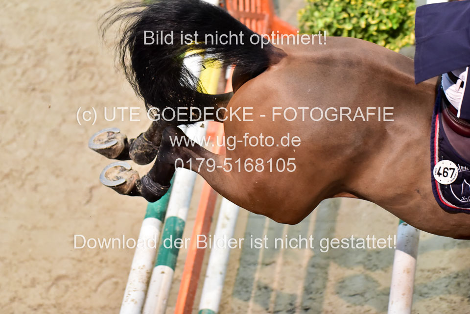 8-jährige-_273.jpg