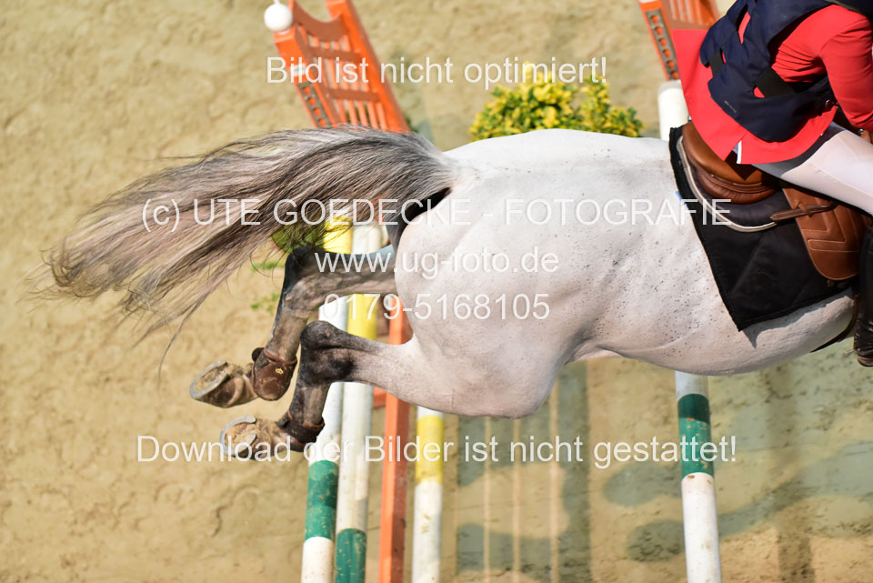 8-jährige-_275.jpg