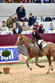 Prfg 24 - Cildren Cup