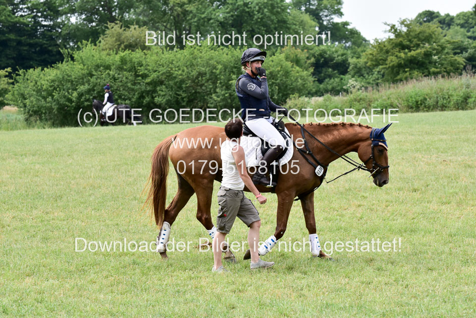DSC_8981.jpg