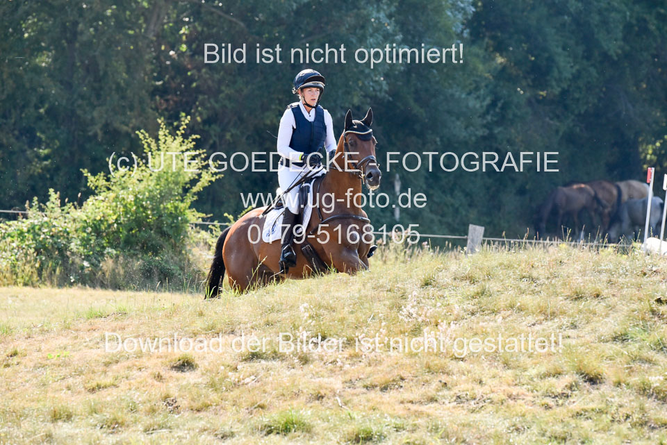 110820---Geländepferde-A---_009.jpg