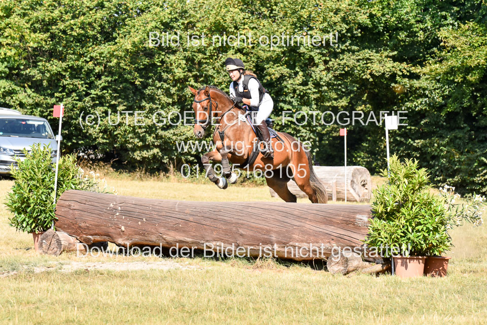 110820---Geländepferde-A---_014.jpg