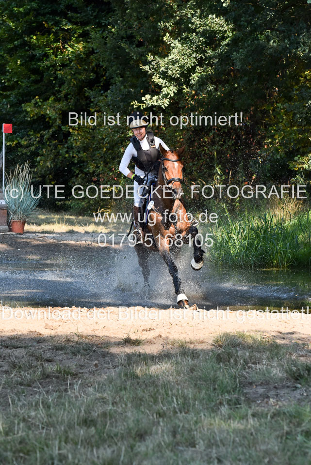 110820---Geländepferde-A---_021.jpg