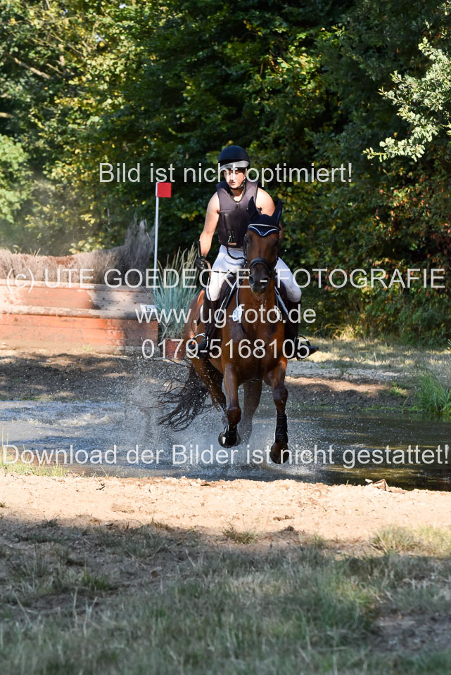 110820---Geländepferde-A---_027.jpg