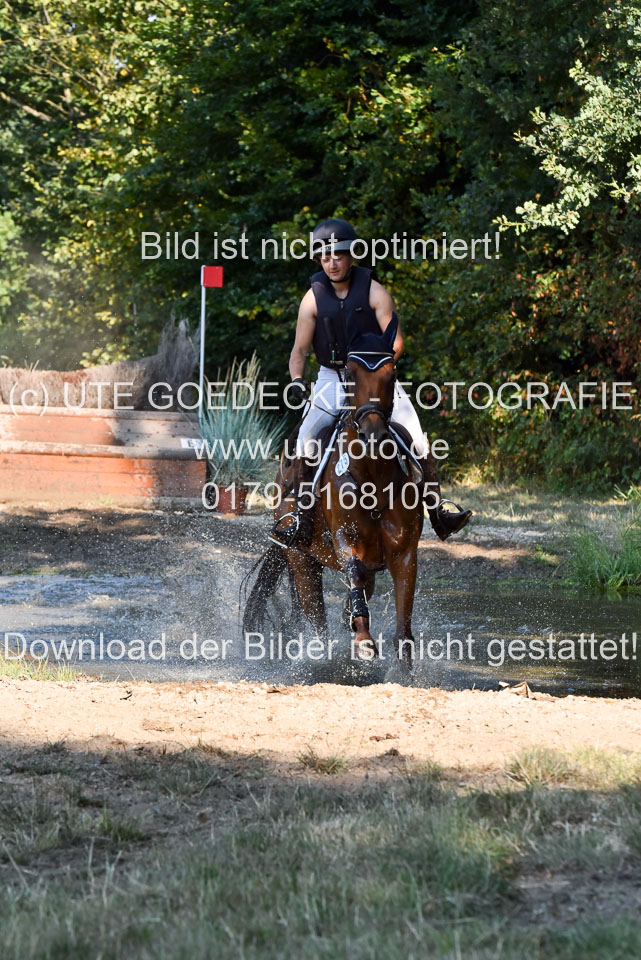 110820---Geländepferde-A---_028.jpg