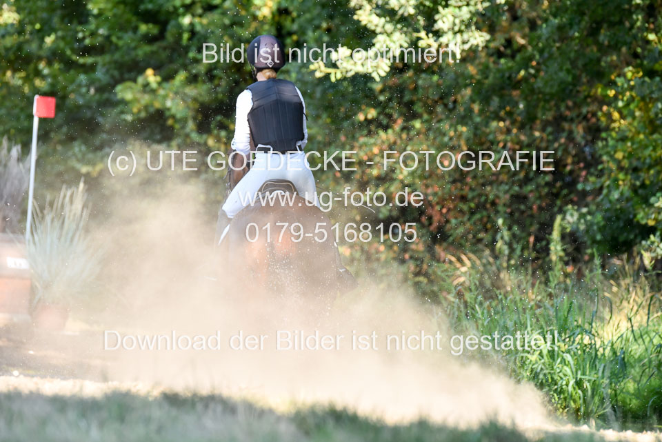 110820---Geländepferde-A---_036.jpg