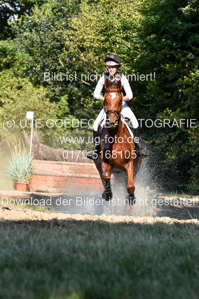 110820---Geländepferde-A---_040.jpg